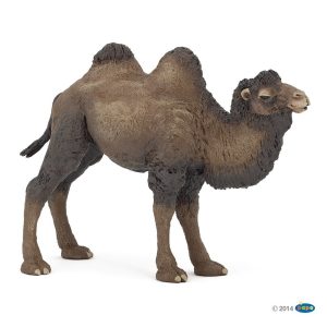 Chameau de Bactriane / Papo
