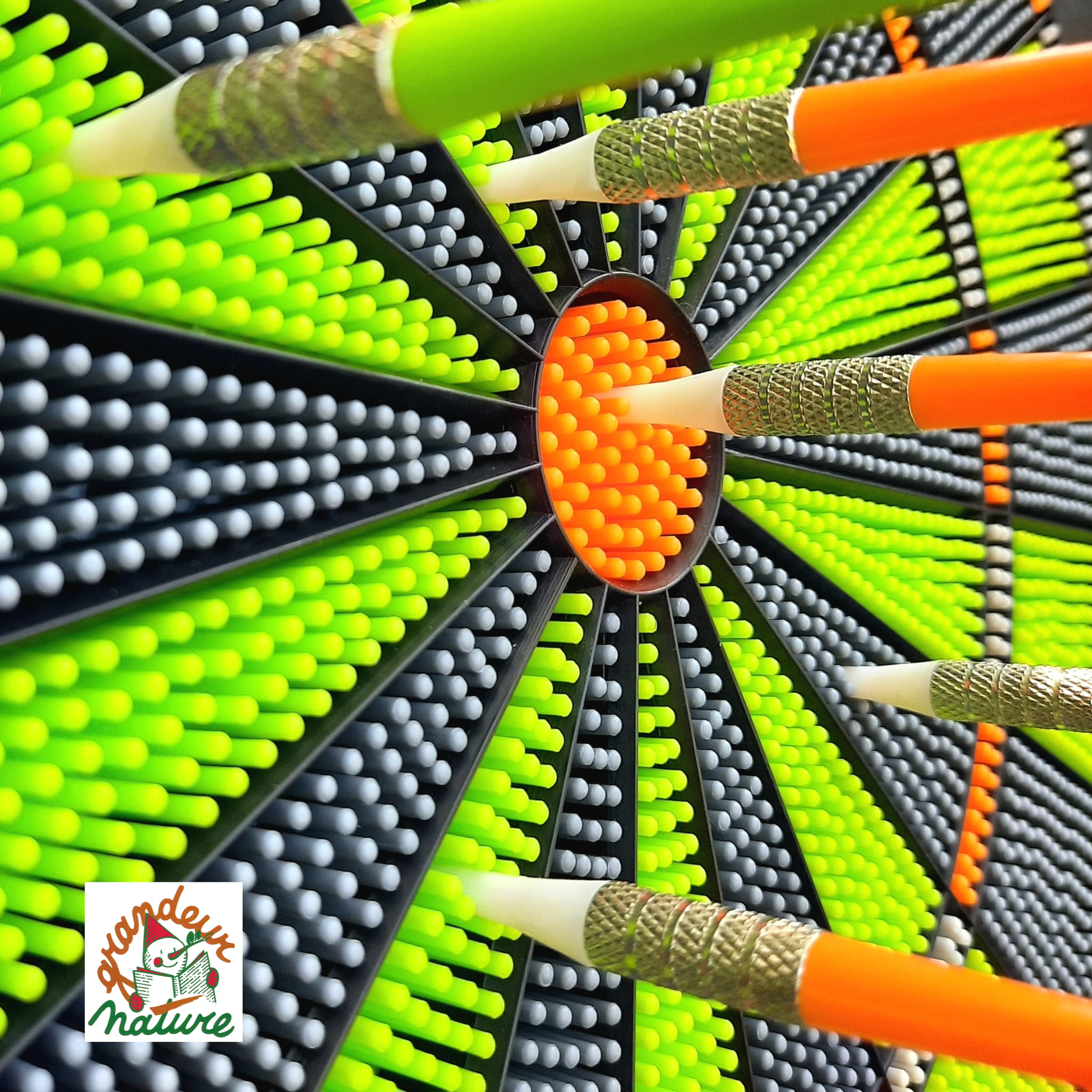 Softdart Haba – Image 4