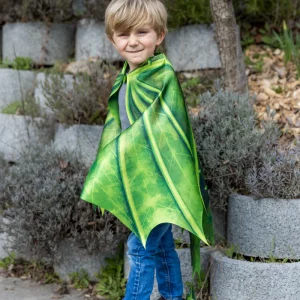 Ailes souples du dragon légendaire 4-6 ans / Great Pretenders