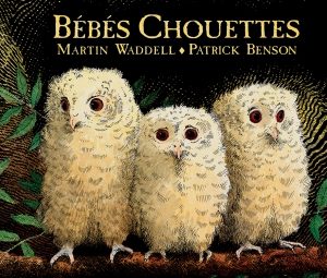 Bébés Chouettes / les lutins de l&rsquo;école des loisirs