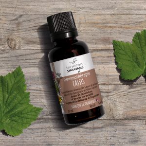 Extrait de bourgeons de Cassis