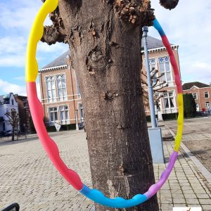 Cerceau Hula-Hoop / Spiegelgurg
