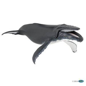 Baleine à bosse / Papo
