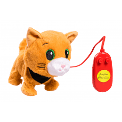 Chat Pistache marche avec moi